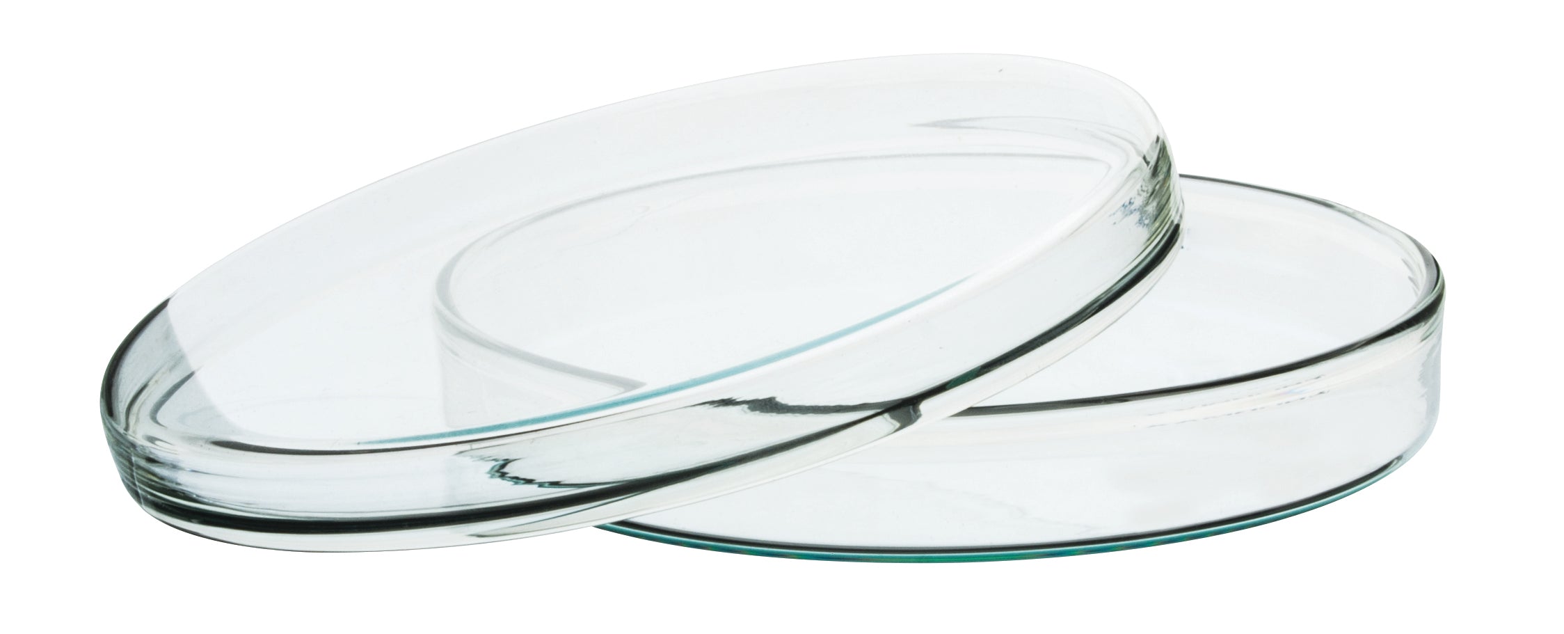 Petri Dish, outer dia 150 x 20mm height, borosilicate glass - eiscoindustrial