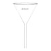 Funnel Filter 100mm, Borosilicate glass, plain at 60° angle - eiscoindustrial