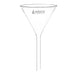 Funnel Filter 125mm, Borosilicate glass, plain at 60° angle - eiscoindustrial